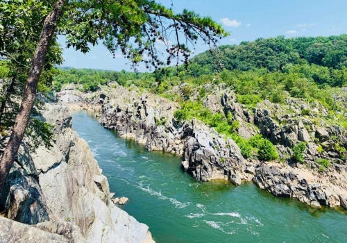 Exploring the Great Outdoors: Beginner-Friendly Classes and Workshops Offered by Outdoor Shops in Sterling, Virginia